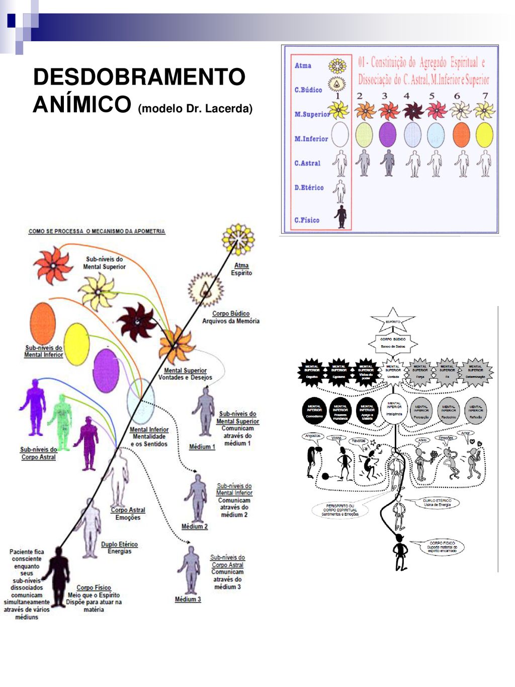  Apometria e Desdobramento Múltiplo. Novos Rumos Para a