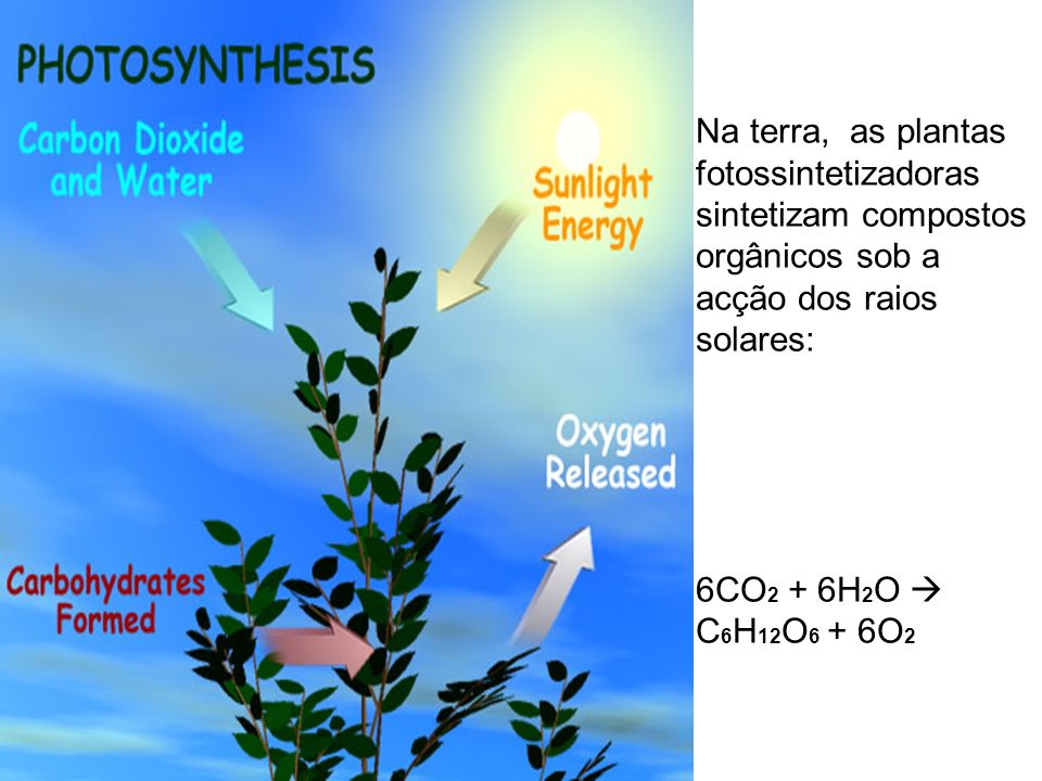 Na terra, as plantas fotossintetizadoras sintetizam compostos orgânicos sob a acção dos raios solares: 6CO2 + 6H2O  C6H12O6 + 6O2