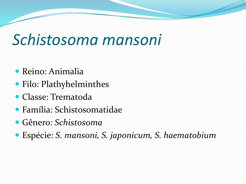schistosomiasis que es