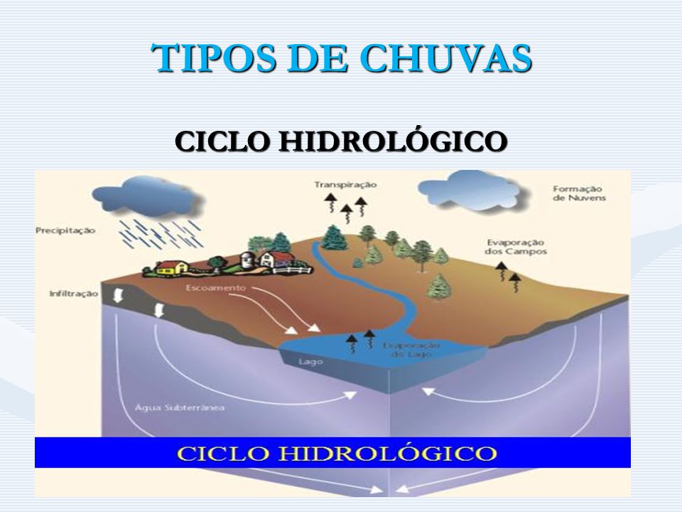 TIPOS DE CHUVAS CICLO HIDROLÓGICO