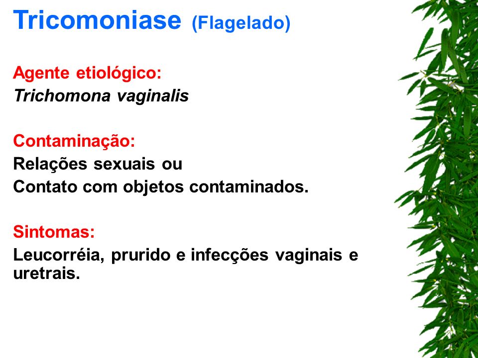 Tricomoniase (Flagelado)