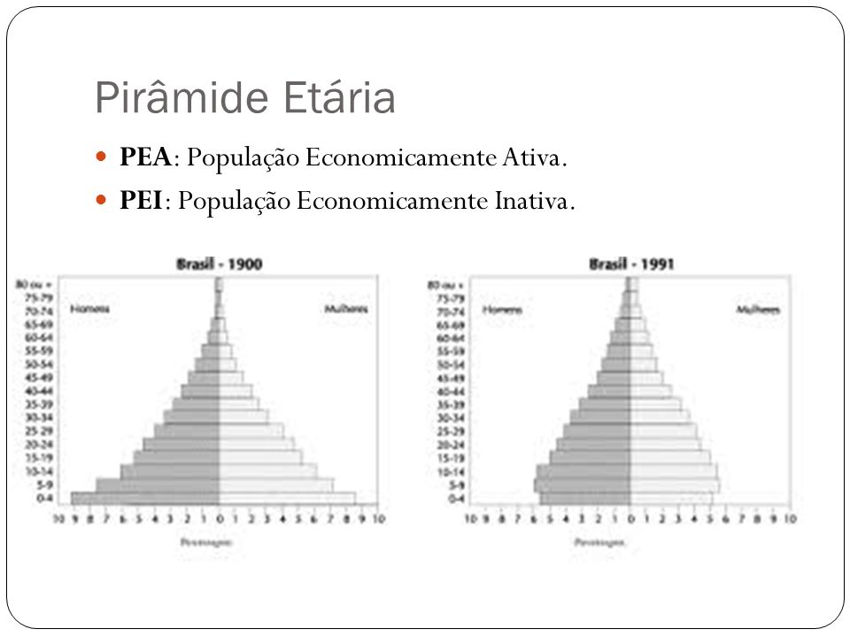 Pirâmide Etária PEA: População Economicamente Ativa.
