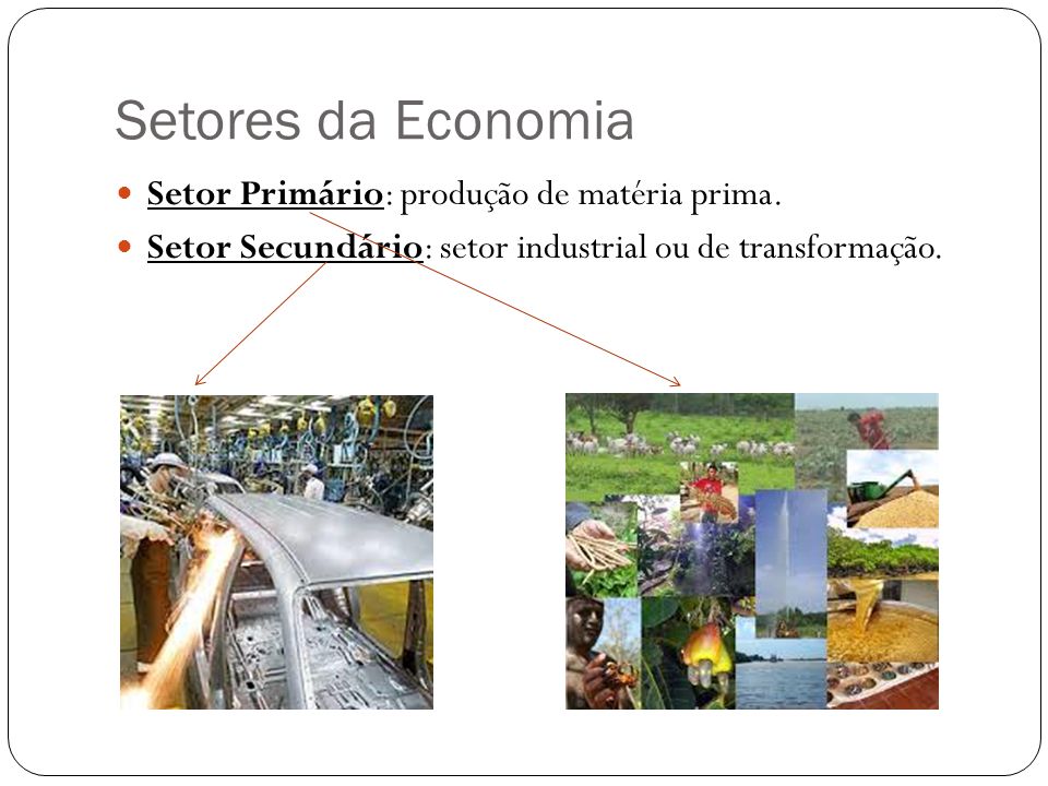 Setores da Economia Setor Primário: produção de matéria prima.