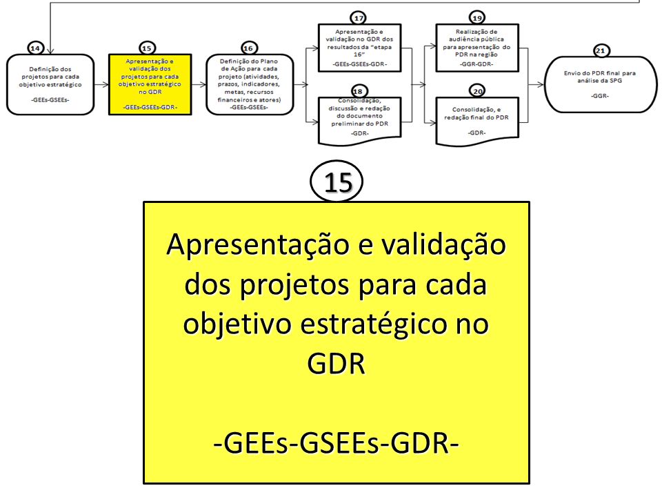 15 Apresentação e validação dos projetos para cada objetivo estratégico no GDR -GEEs-GSEEs-GDR-