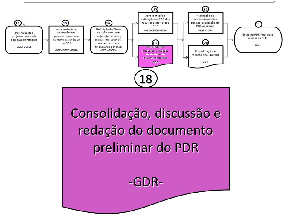 Consolidação, discussão e redação do documento preliminar do PDR