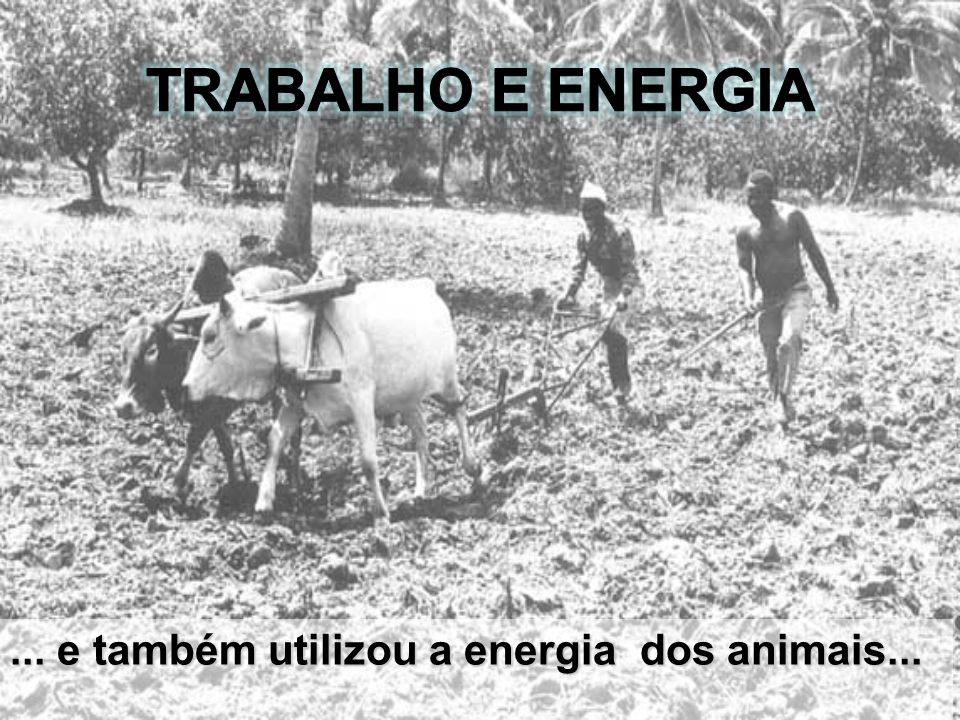 Trabalho e Energia ... e também utilizou a energia dos animais...
