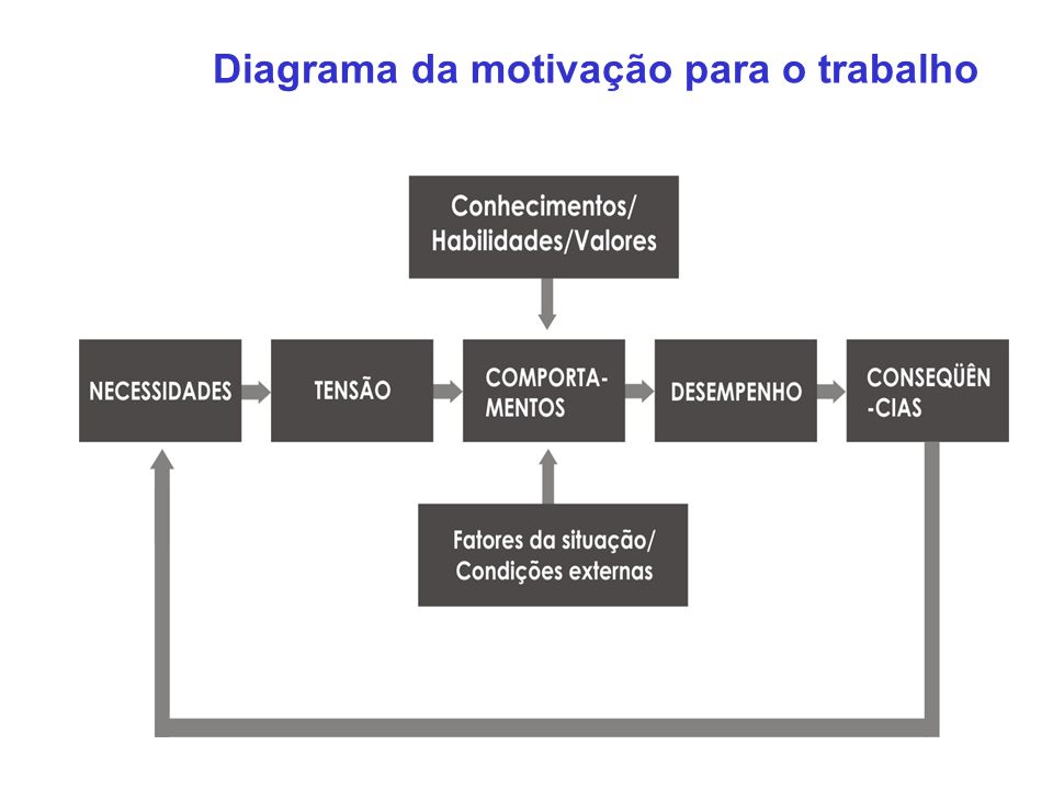 Diagrama da motivação para o trabalho