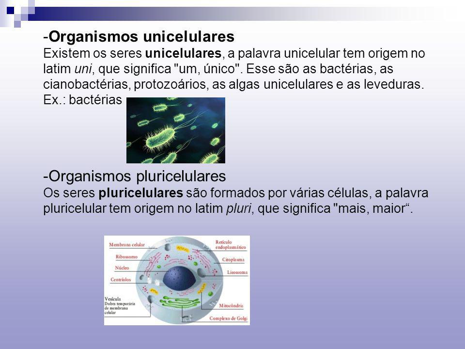 Organismos unicelulares