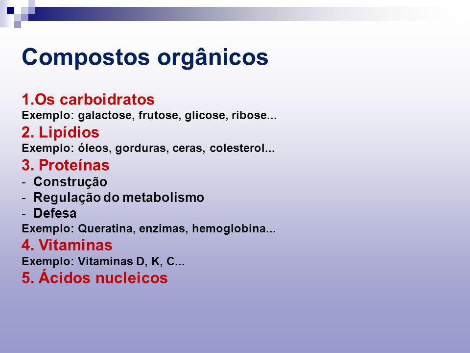 Compostos orgânicos Os carboidratos 2. Lipídios 3. Proteínas
