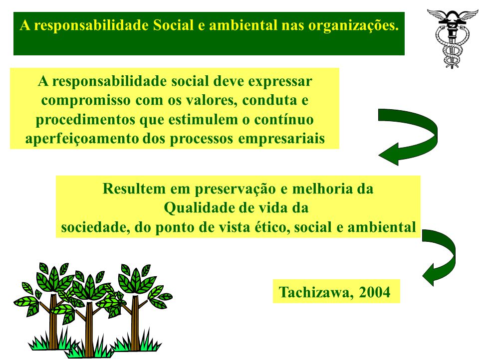 A responsabilidade Social e ambiental nas organizações.