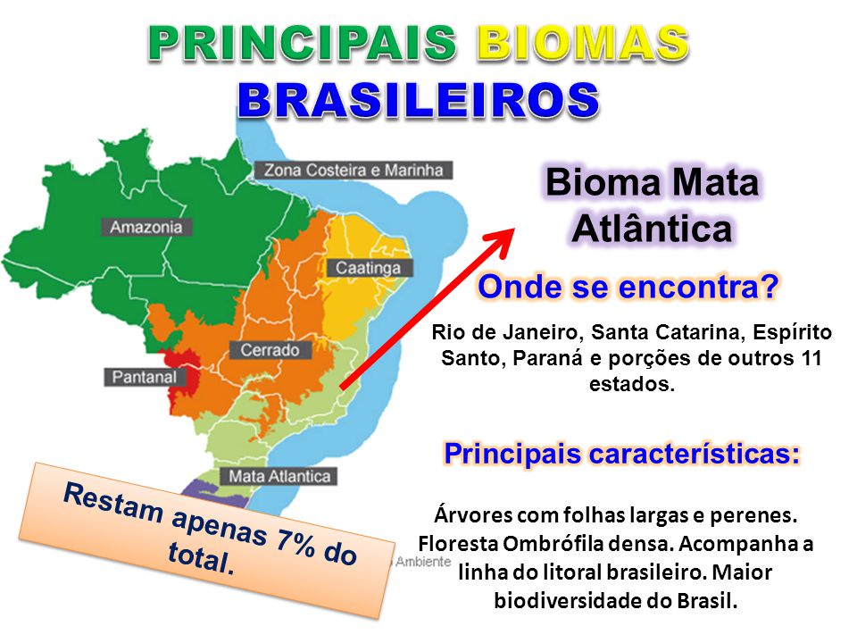 PRINCIPAIS BIOMAS BRASILEIROS Restam apenas 7% do total.