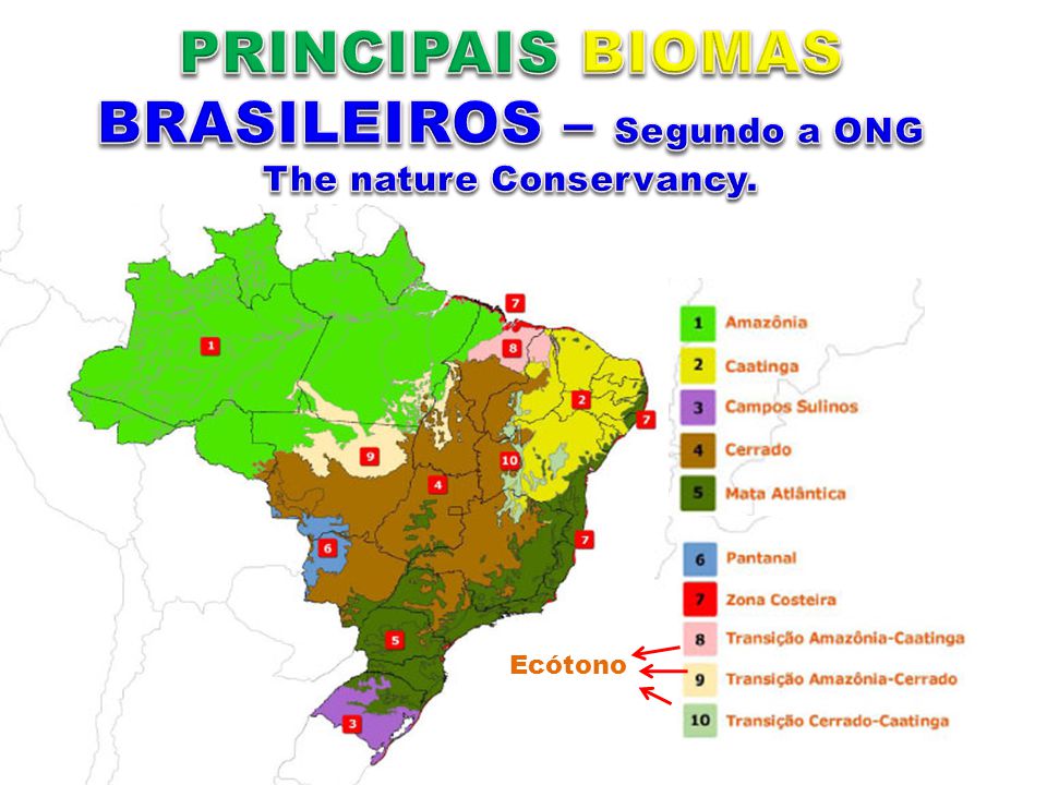 PRINCIPAIS BIOMAS BRASILEIROS – Segundo a ONG The nature Conservancy.
