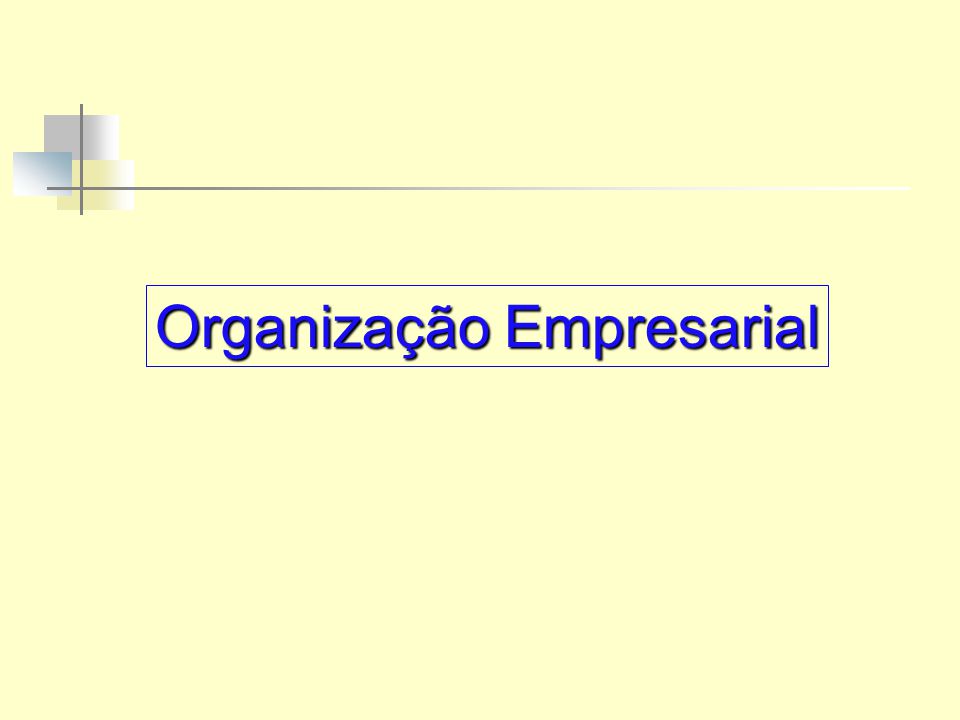 Organização Empresarial