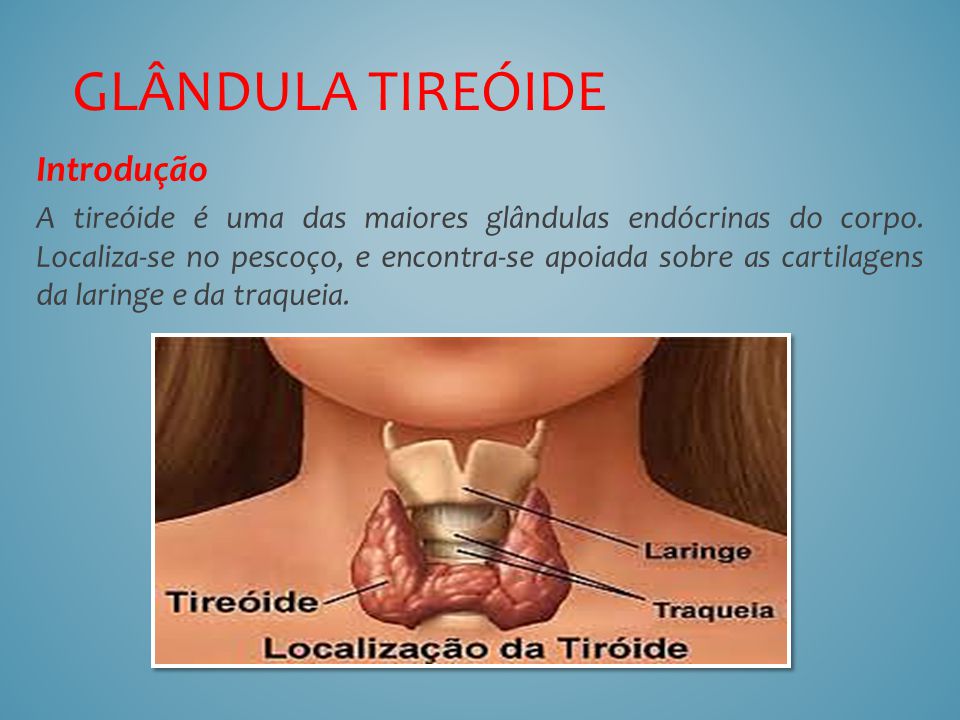 Resultado de imagem para glandula tireoide