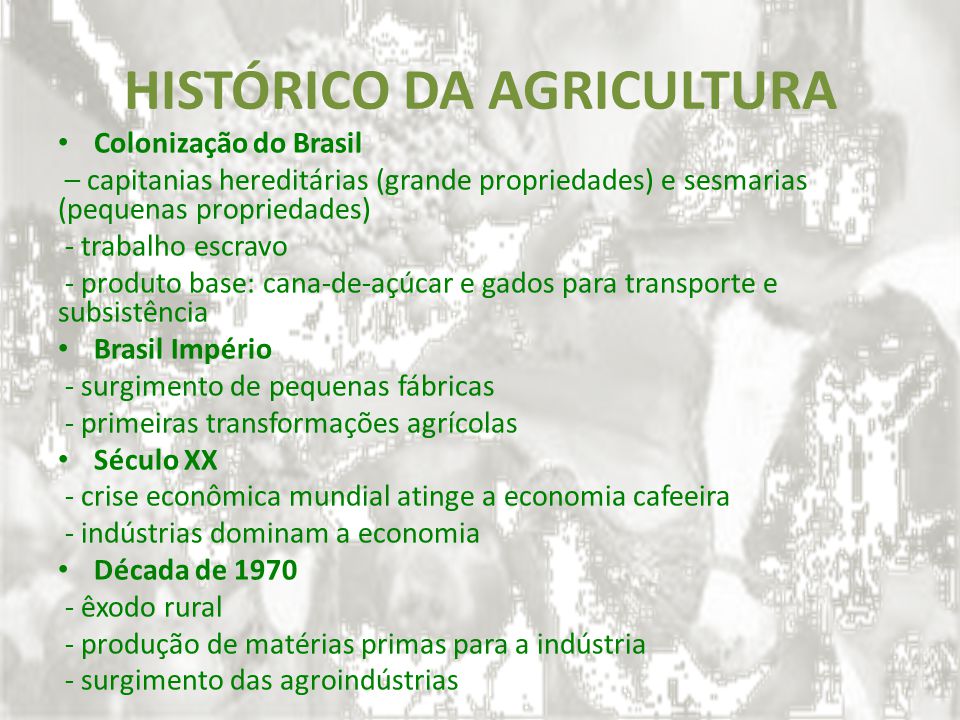 HISTÓRICO DA AGRICULTURA