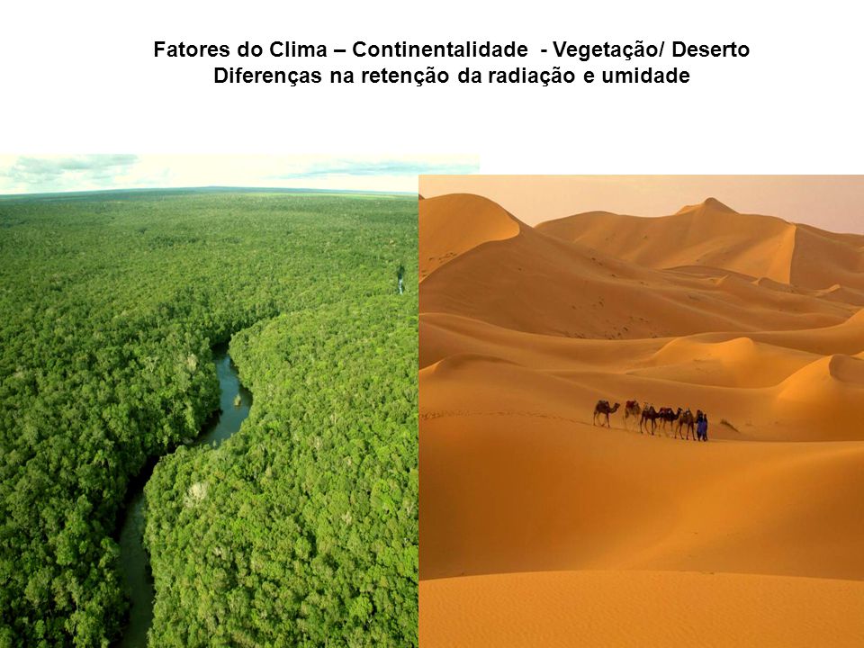 Fatores do Clima – Continentalidade - Vegetação/ Deserto