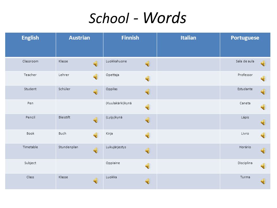 School - Words English Austrian Finnish Italian Portuguese Classroom