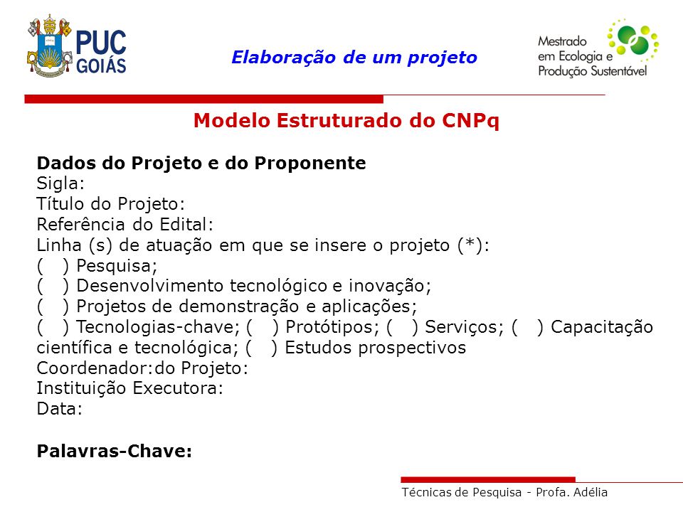 Modelo Estruturado do CNPq