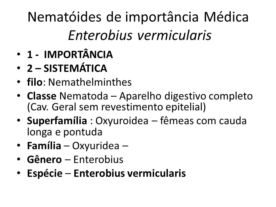 Nemathelminthes phylum. Enterobius vermicularis reino filo classe - Nemathelminthes filo