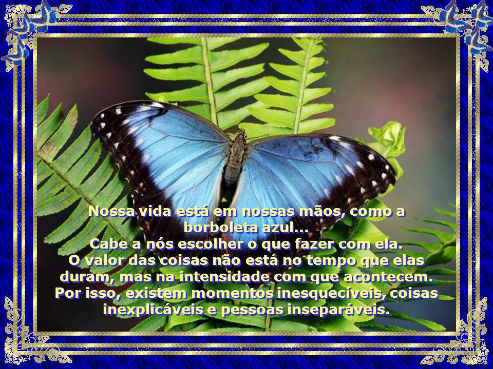 Nossa vida está em nossas mãos, como a borboleta azul...