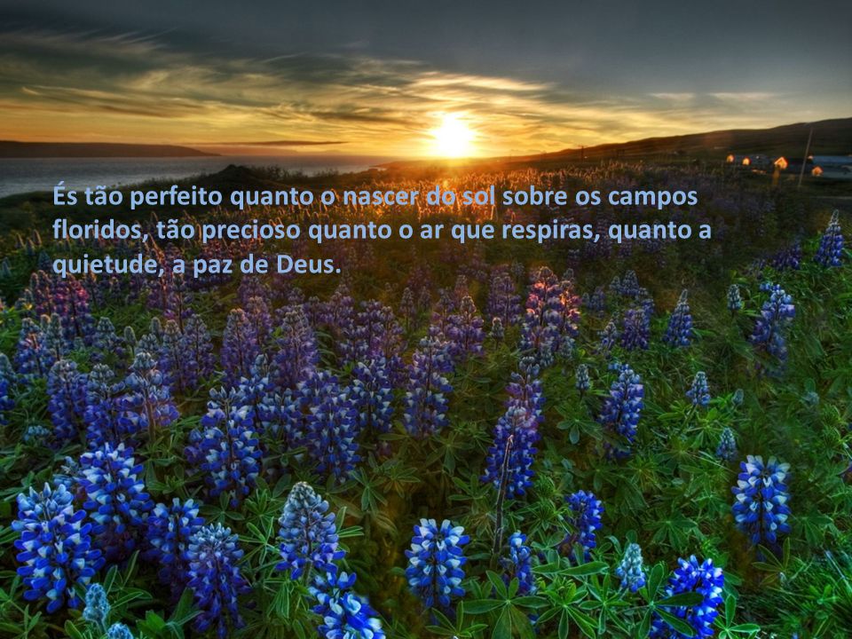 És tão perfeito quanto o nascer do sol sobre os campos floridos, tão precioso quanto o ar que respiras, quanto a quietude, a paz de Deus.