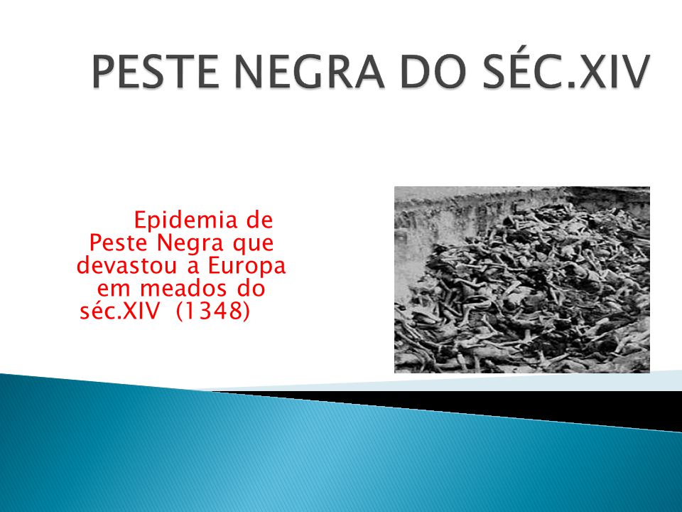 PESTE NEGRA DO SÉC.XIV Epidemia de Peste Negra que devastou a Europa em meados do séc.XIV (1348)