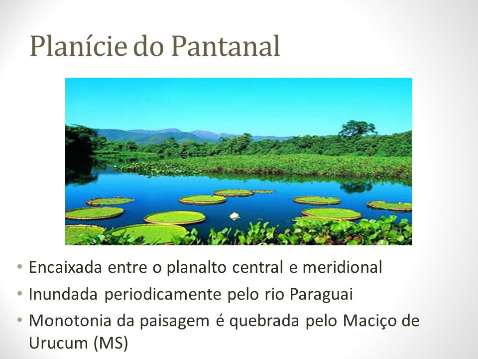 Planície do Pantanal Encaixada entre o planalto central e meridional