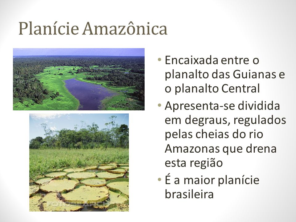 Planície Amazônica Encaixada entre o planalto das Guianas e o planalto Central.