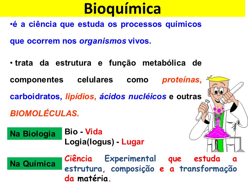 Bioquímica é a ciência que estuda os processos químicos que ocorrem nos organismos vivos.
