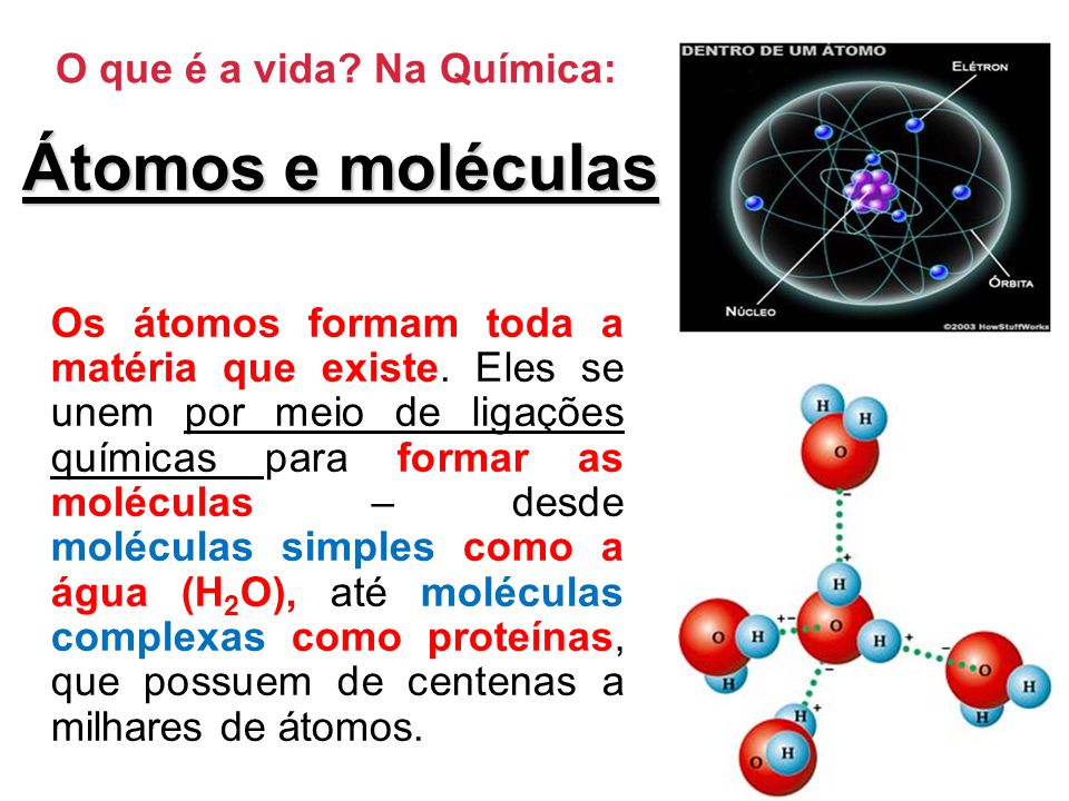 Átomos e moléculas O que é a vida Na Química: