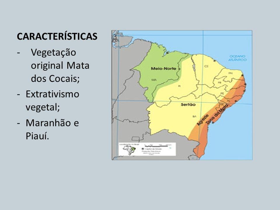 CARACTERÍSTICAS Vegetação original Mata dos Cocais; Extrativismo vegetal; Maranhão e Piauí.
