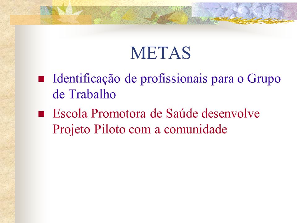 METAS Identificação de profissionais para o Grupo de Trabalho