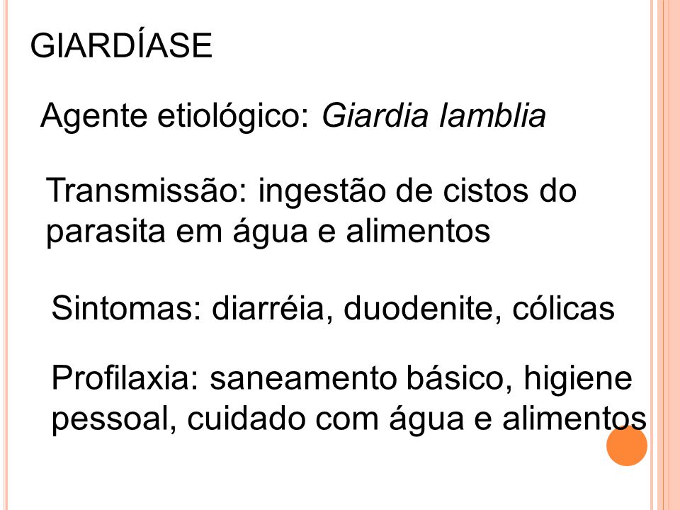 GIARDÍASE Agente etiológico: Giardia lamblia. Transmissão: ingestão de cistos do. parasita em água e alimentos.