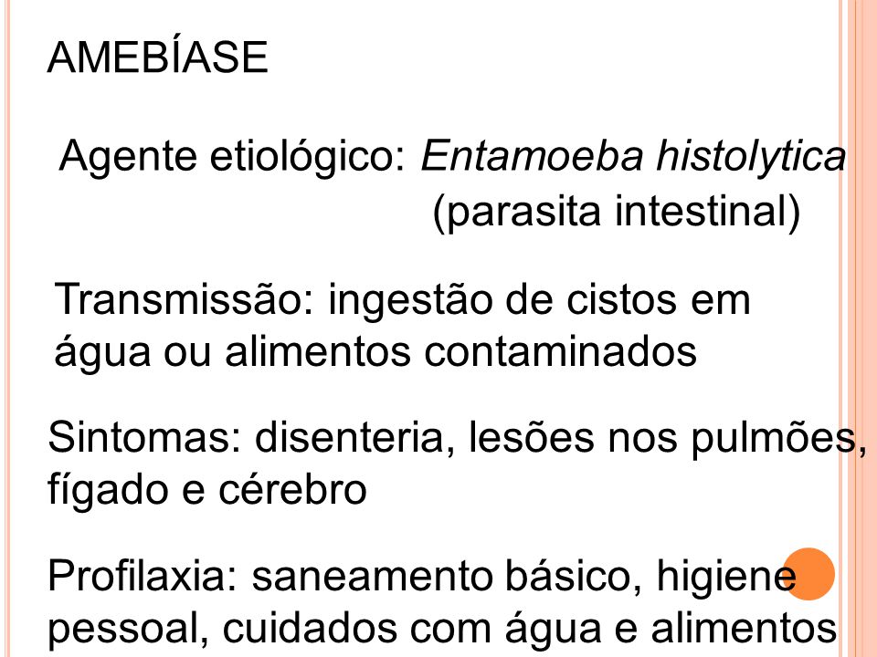 AMEBÍASE Agente etiológico: Entamoeba histolytica. (parasita intestinal) Transmissão: ingestão de cistos em.