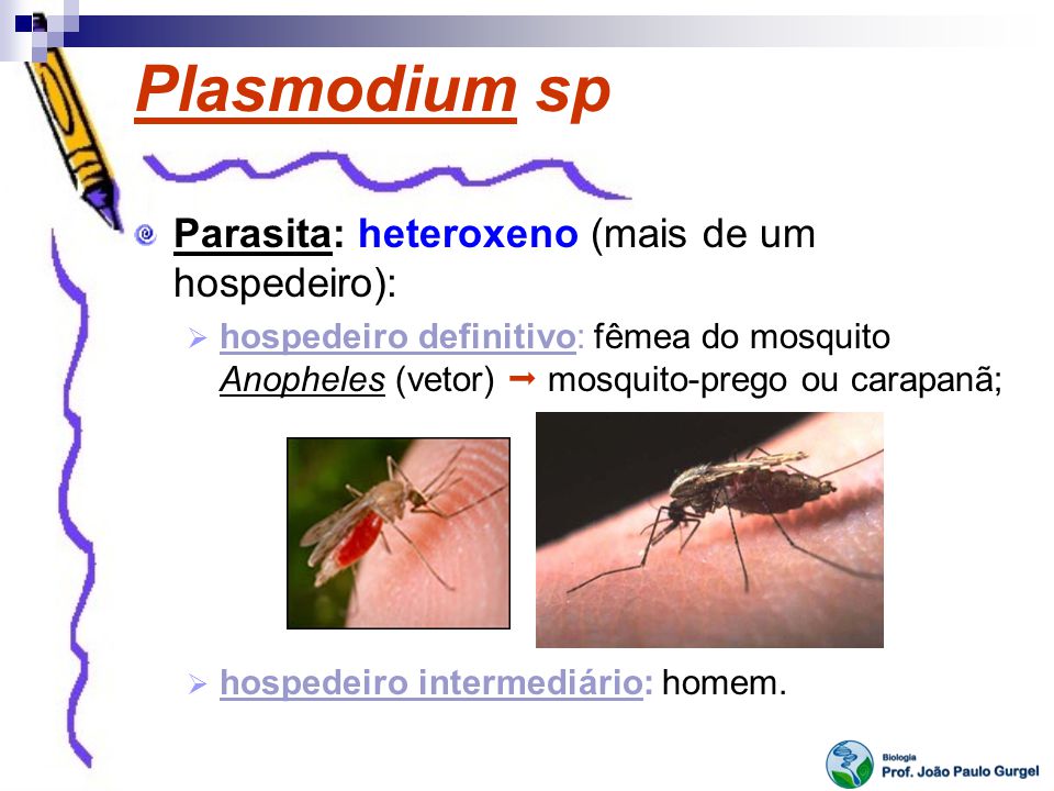 heteroxén parazita