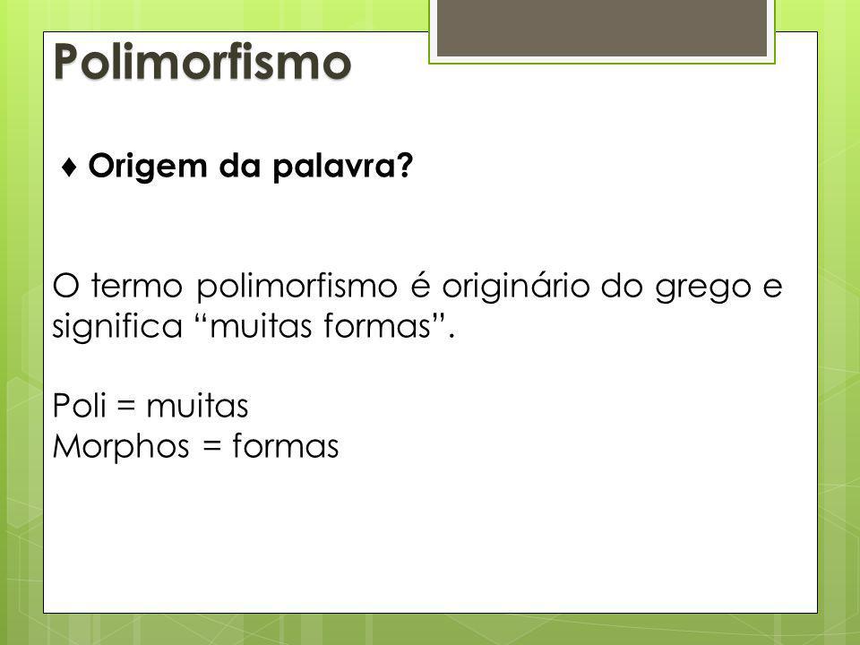 Programação Orientada a Objetos - ppt carregar