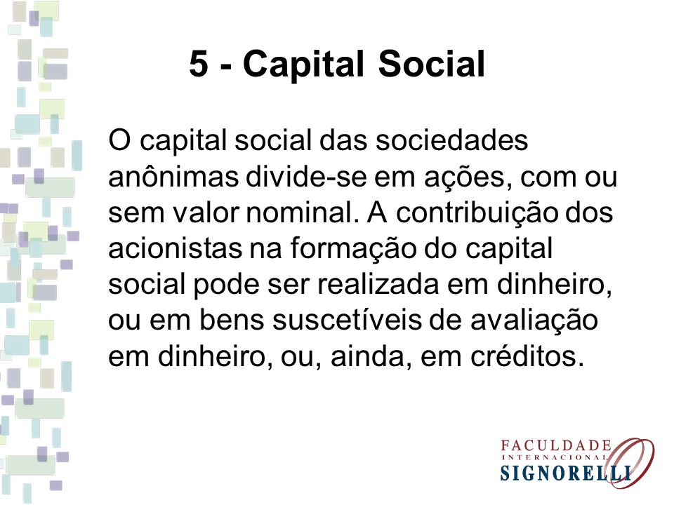 5 - Capital Social