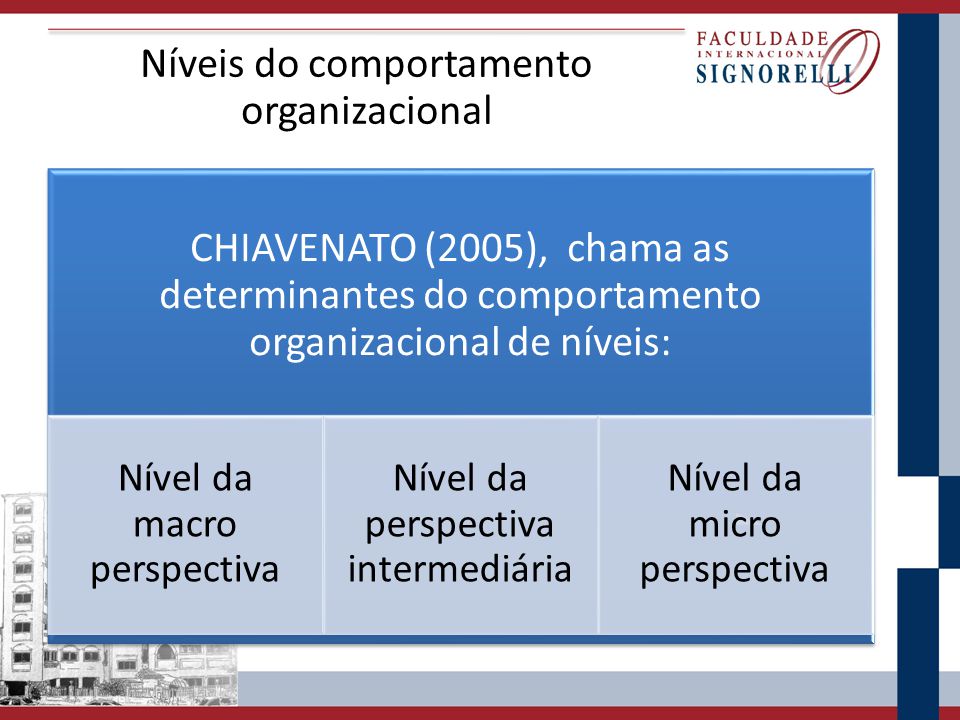 Níveis do comportamento organizacional