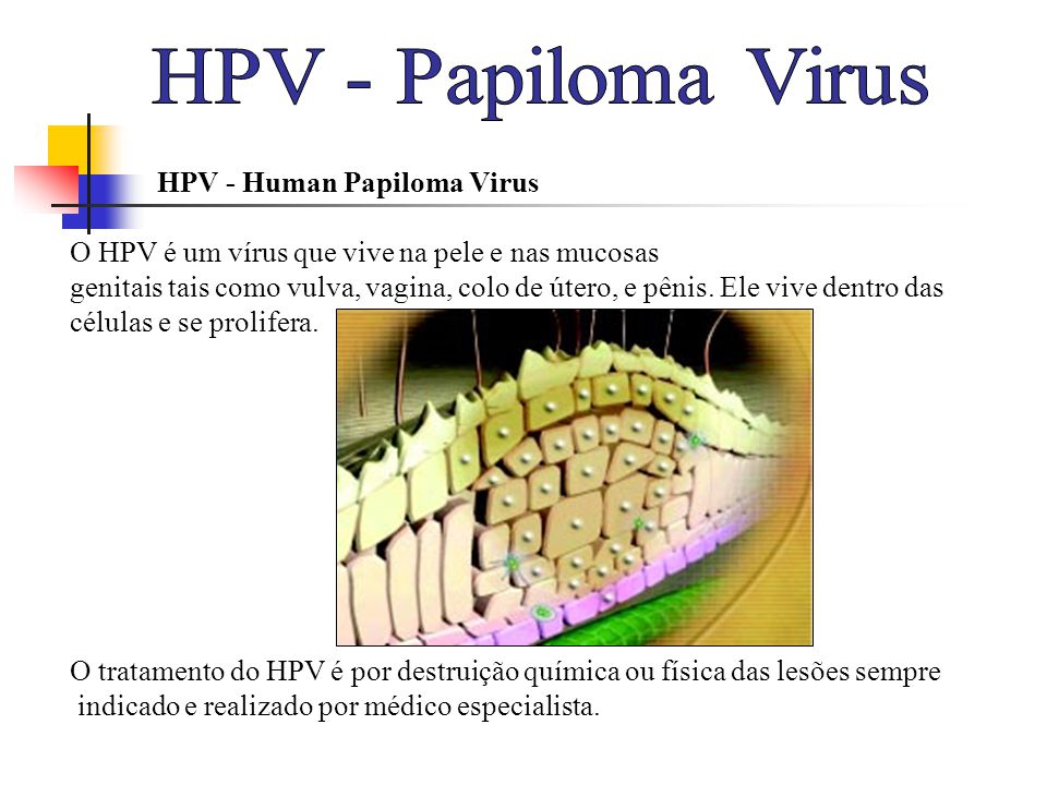 HPV - Papiloma Virus HPV - Human Papiloma Virus