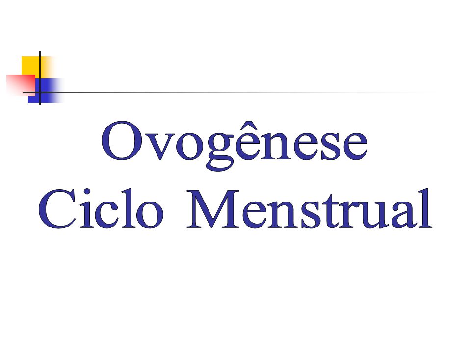 Ovogênese Ciclo Menstrual