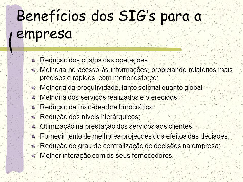 Benefícios dos SIG’s para a empresa