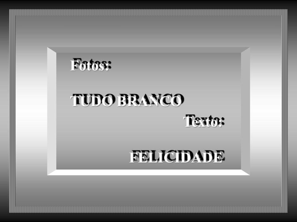 Fotos: TUDO BRANCO Texto: FELICIDADE