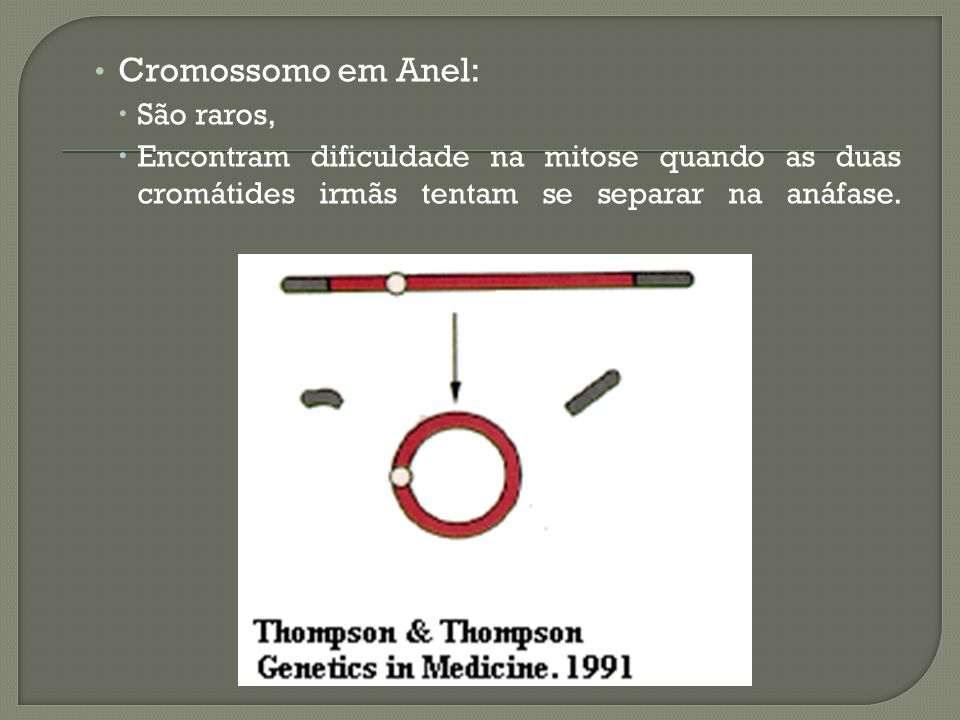 Cromossomos Variação Cromossômica Alterações Estruturais - ppt carregar