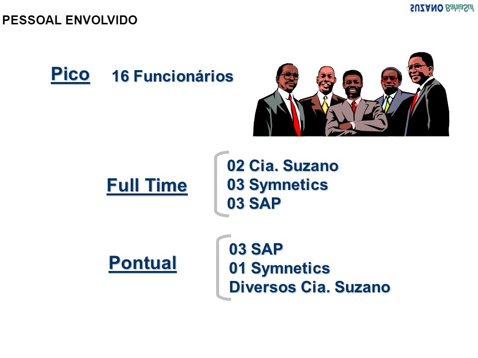 Pico Full Time Pontual 16 Funcionários 02 Cia. Suzano 03 Symnetics