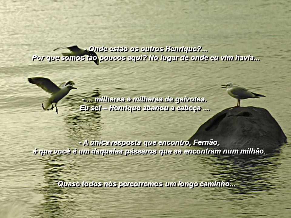 fernao capelo gaivota música fernao capelo gaivota música
