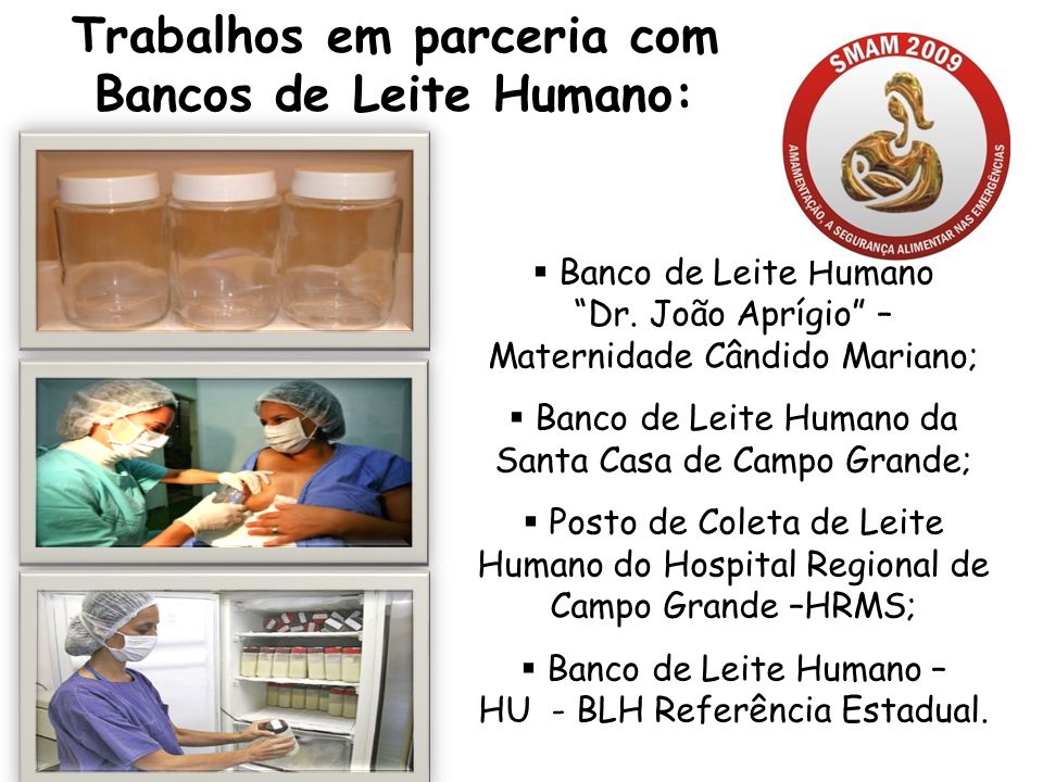 Trabalhos em parceria com Bancos de Leite Humano: