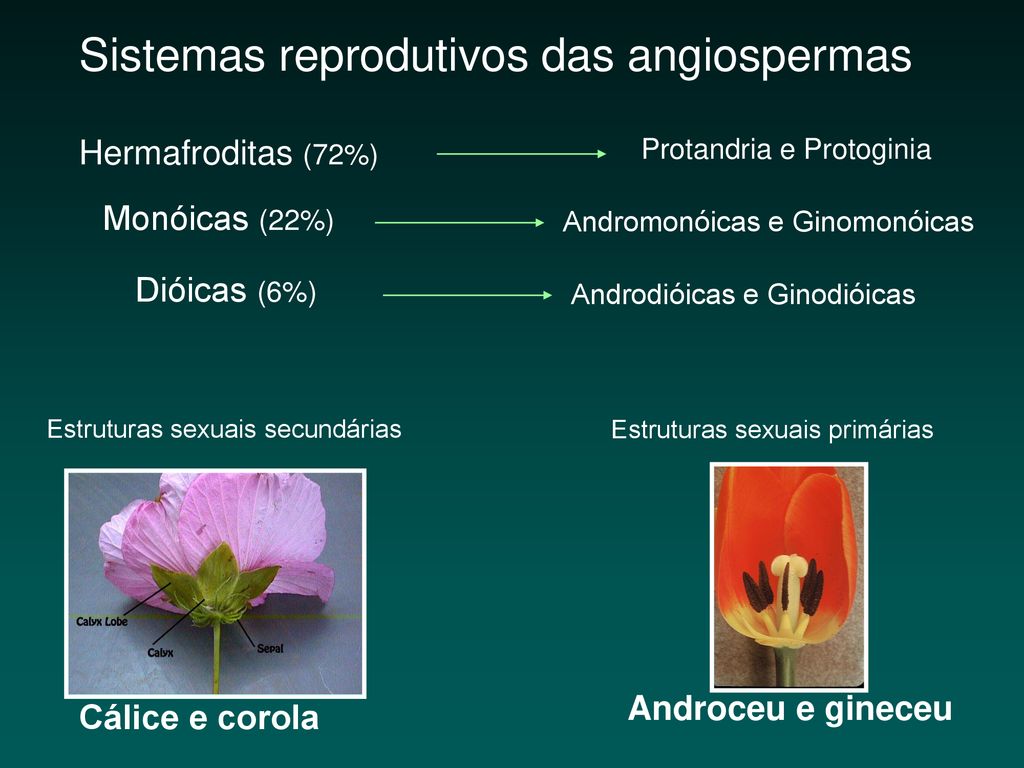 Seleção Sexual em Plantas - ppt carregar