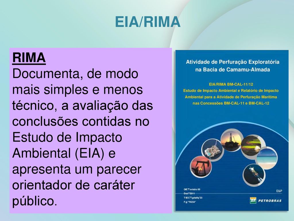 Navigator é um risco ambiental para Portugal? Na vossa opinião, será que o  ganho económico compensa o impacte ambiental? : r/literaciafinanceira