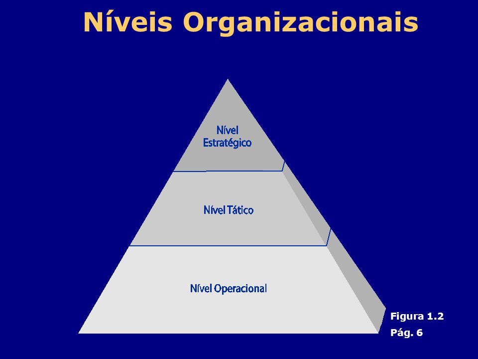 Níveis Organizacionais