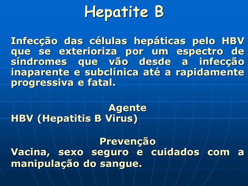 Hepatite B Agente HBV (Hepatitis B Virus)
